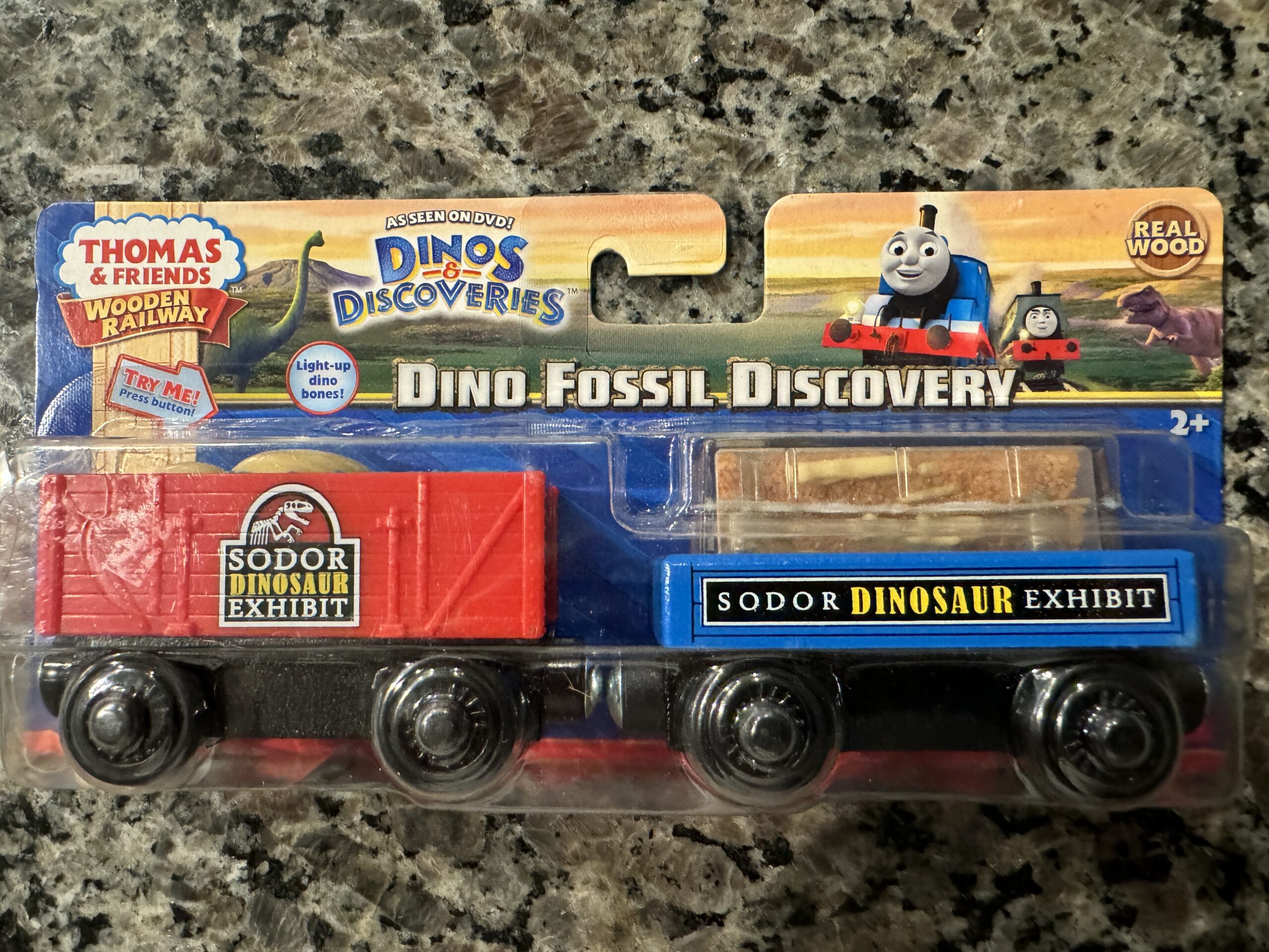 Dino Fossil Discovery